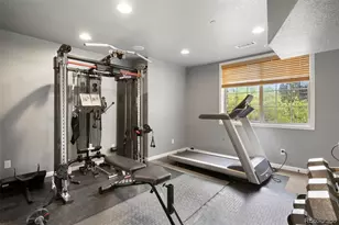 6299 Ellingwood Point Pl, Castle Rock, CO 80108 - Photo 34