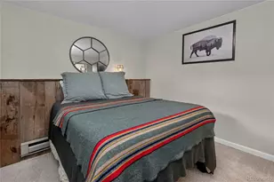 336 E Mountain Ave, Empire, CO 80438 - Photo 36