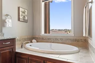 9168 Viaggio Way, Highlands Ranch, CO 80126 - Photo 24