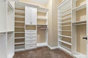 9168 Viaggio Way, Highlands Ranch, CO 80126 - Photo 34