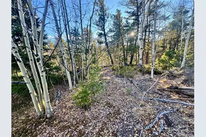 Lot 5888 Loubier Road, Fort Garland, CO 81152 - Photo 10