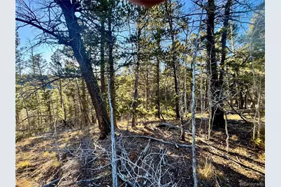 Lot 5888 Loubier Road, Fort Garland, CO 81152 - Photo 6