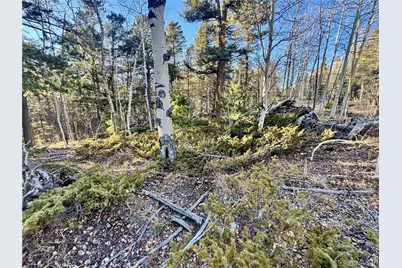 Lot 5888 Loubier Road, Fort Garland, CO 81152 - Photo 4