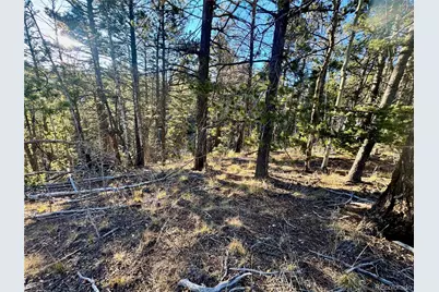 Lot 5888 Loubier Road, Fort Garland, CO 81152 - Photo 1