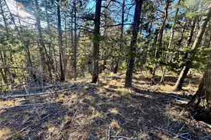 Lot 5888 Loubier Rd, Fort Garland, CO 81152 - Photo 1