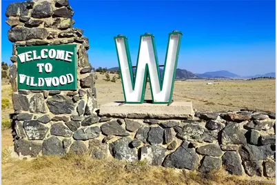 893 Rocky Mountain Road, Hartsel, CO 80449 - Photo 20