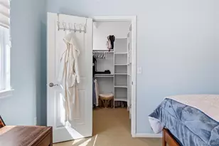 3200 Springbriar Dr, Castle Rock, CO 80109 - Photo 34