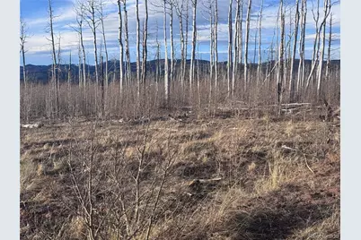 Lot 1290 Clayton Road, Fort Garland, CO 81133 - Photo 2