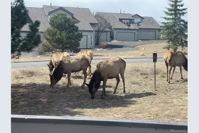 1437 Raven Circle #D, Estes Park, CO 80517 - Photo 2