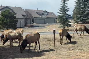 1437 Raven Cir, Estes Park, CO 80517 - Photo 1