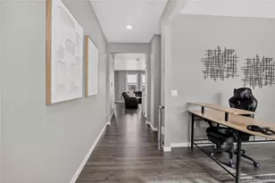 13891 Wild Lupine St, Parker, CO 80134 - Photo 4