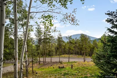 8511 S Warhawk Road, Conifer, CO 80433 - Photo 4