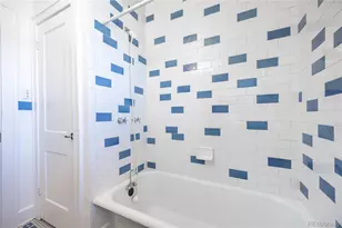 1446 N Gilpin Street, Denver, CO 80218 - Photo 24