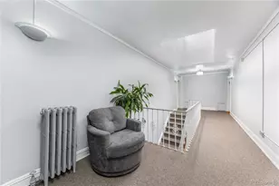 1446 N Gilpin Street, Denver, CO 80218 - Photo 30