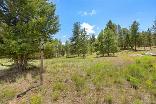 1855 Windmill Dr, Hartsel, CO 80449 - Photo 14