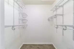 3825 Canyon Ranch Road, Highlands Ranch, CO 80126 - Photo 22