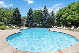 3825 Canyon Ranch Road, Highlands Ranch, CO 80126 - Photo 28