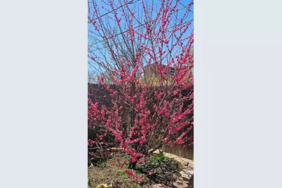 2730 W Mississippi Avenue #14, Denver, CO 80219 - Photo 24