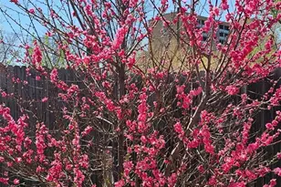 2730 W Mississippi Ave, Denver, CO 80219 - Photo 24