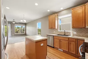 8343 Briar Trace Way, Castle Rock, CO 80108 - Photo 14