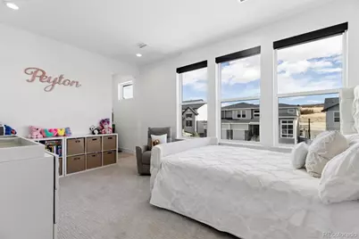 5423 Brotherton Court, Castle Rock, CO 80104 - Photo 38