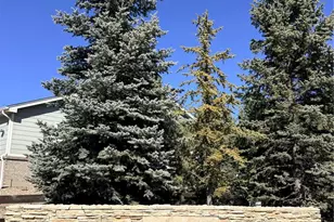 6756 Solana Dr, Castle Pines, CO 80108 - Photo 18