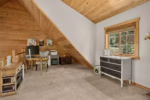 12090 Tecumseh Trail, Conifer, CO 80433 - Photo 26