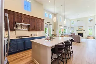 9216 Viaggio Way, Highlands Ranch, CO 80126 - Photo 8