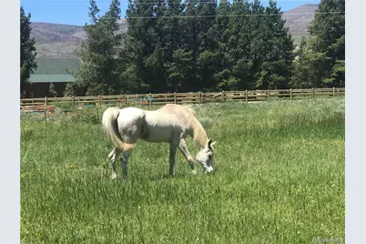 223 County Road 4980, Grand Lake, CO 80447 - Photo 28
