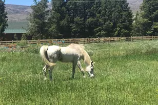 223 Co Rd 4980, Grand Lake, CO 80447 - Photo 28