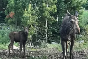 223 Co Rd 4980, Grand Lake, CO 80447 - Photo 36