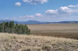 1159 Sheep Ridge Rd, Fairplay, CO 80440 - Photo 24