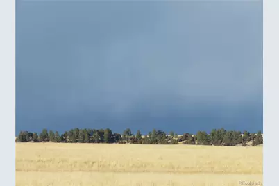 21550 Elk Meadows Circle, Elbert, CO 80106 - Photo 8