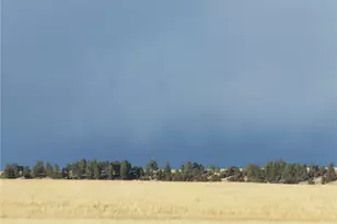 21550 Elk Meadows Cir, Elbert, CO 80106 - Photo 8