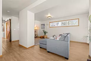 45 Colorado Blvd, Idaho Springs, CO 80452 - Photo 10