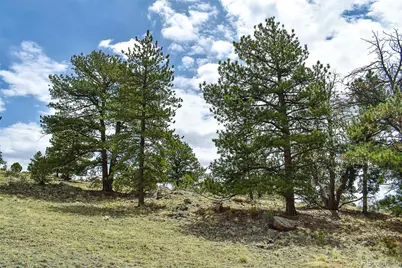 422 Buck Drive, Guffey, CO 80820 - Photo 32