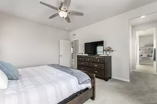 1172 Basalt Ridge Loop, Castle Rock, CO 80108 - Photo 22