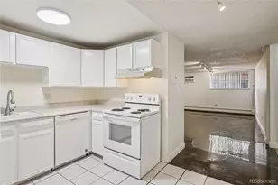 1050 N Lafayette Street, Denver, CO 80218 - Photo 12