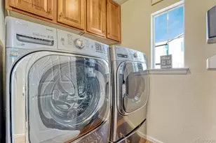 10535 Ashfield St, Highlands Ranch, CO 80126 - Photo 36