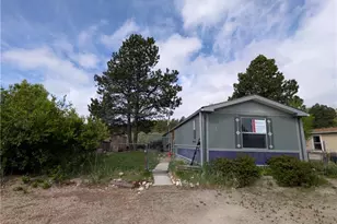 9669 Spruce Mountain Rd, Larkspur, CO 80118 - Photo 4