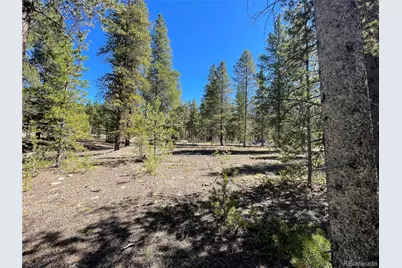 100 Virginia Avenue, Leadville, CO 80461 - Photo 1