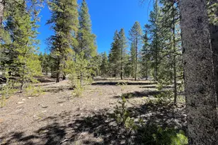 100 Virginia Ave, Leadville, CO 80461 - Photo 1