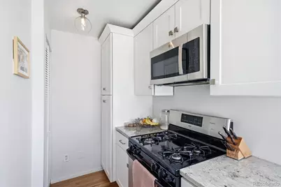 1055 S Garfield Street, Denver, CO 80209 - Photo 6