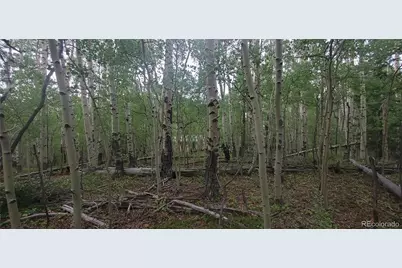 Lot 5837 Sheldon Road, Fort Garland, CO 81133 - Photo 8