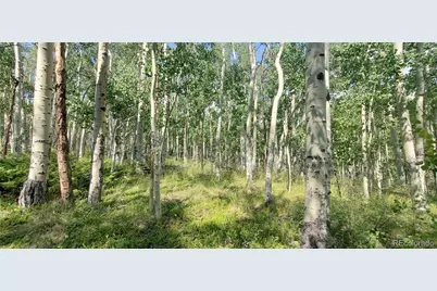 Lot 5837 Sheldon Road, Fort Garland, CO 81133 - Photo 1