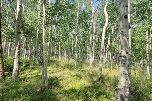 Lot 5837 Sheldon Rd, Fort Garland, CO 81133 - Photo 1