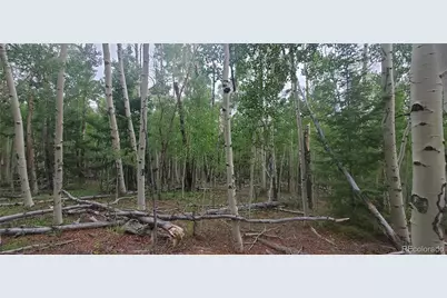 Lot 5837 Sheldon Road, Fort Garland, CO 81133 - Photo 6