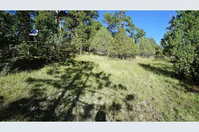 Bob Cat Trail, Bailey, CO 80421 - Photo 1