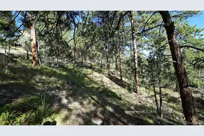 Bob Cat Trail, Bailey, CO 80421 - Photo 6