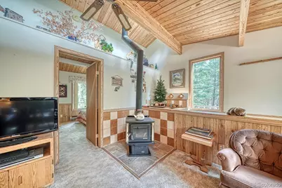 22297 County Road 292D, Nathrop, CO 81236 - Photo 20